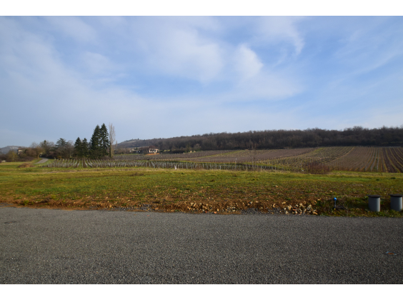 Terrain Berzé-la-Ville  pièce - 91592€